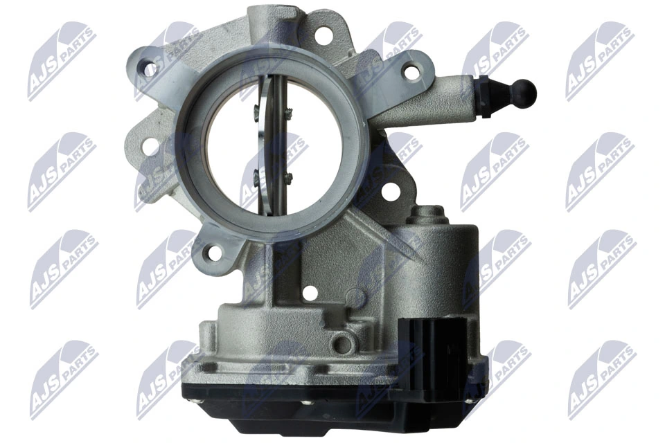Throttle Body ETB-PL-006