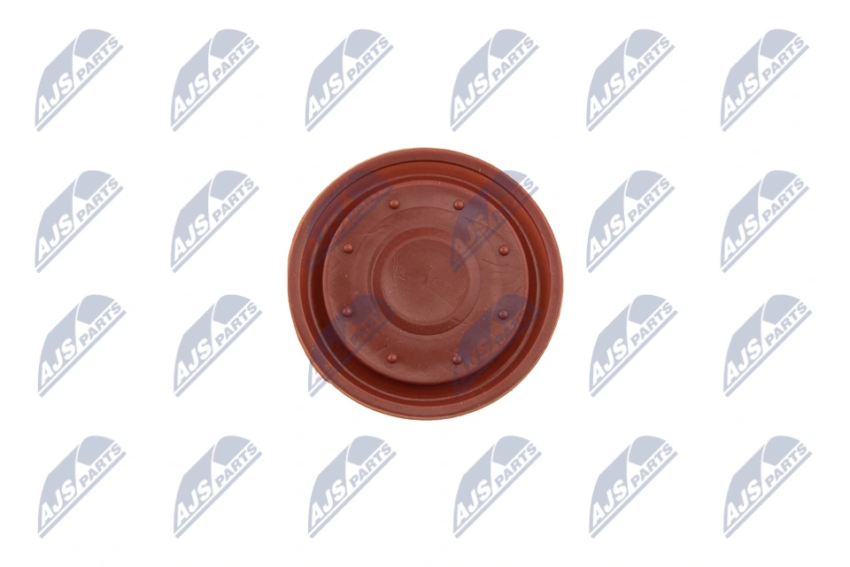 Cylinder Head Cover BPZ-VV-002