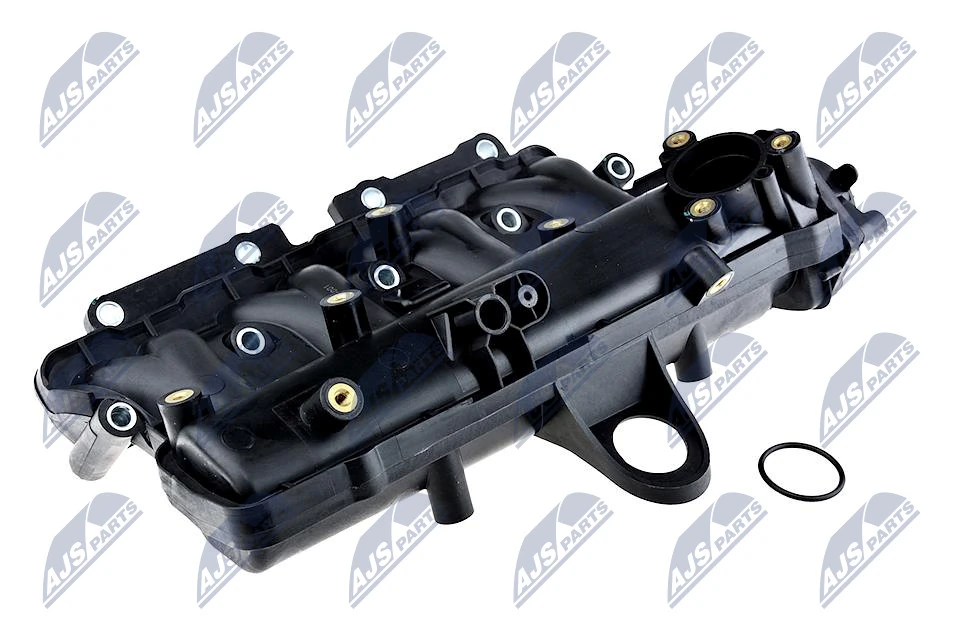 Intake Manifold Module BKS-FT-001