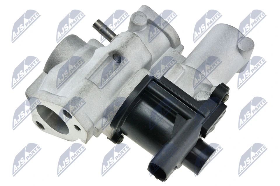 EGR Valve EGR-AU-018