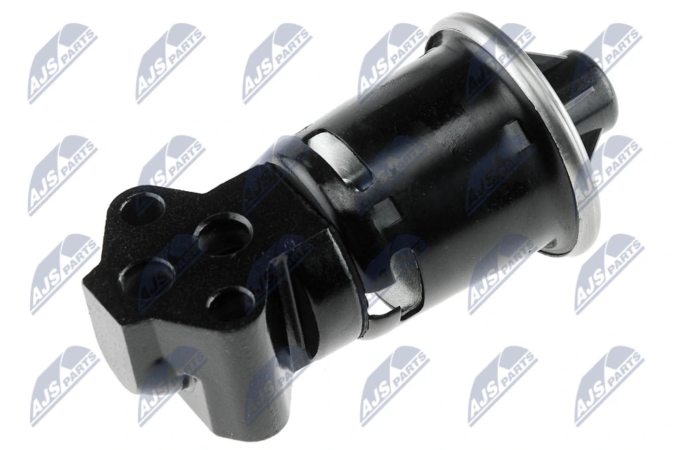 EGR Valve EGR-DW-002
