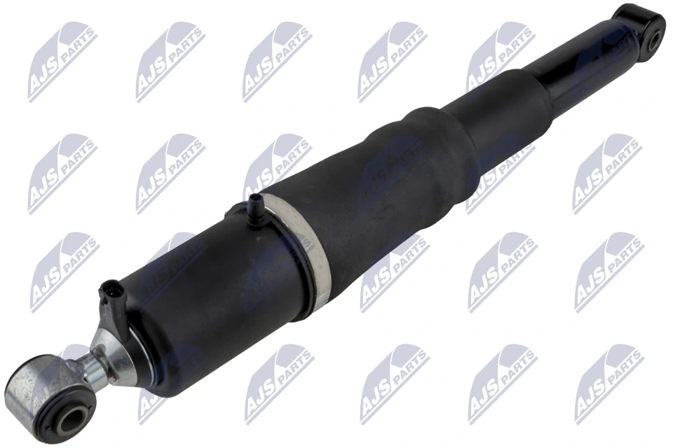 Air Suspension Strut A-CH-013