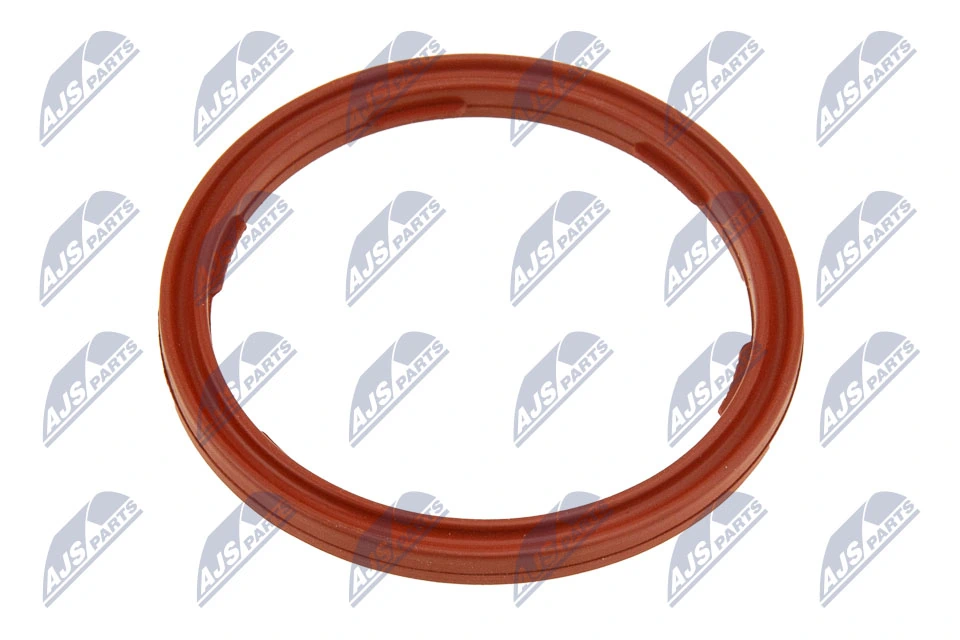 Seal Ring, engine oil level sensor EPO-BM-010