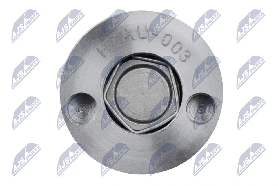 Central Valve, camshaft adjustment ENK-AU-003