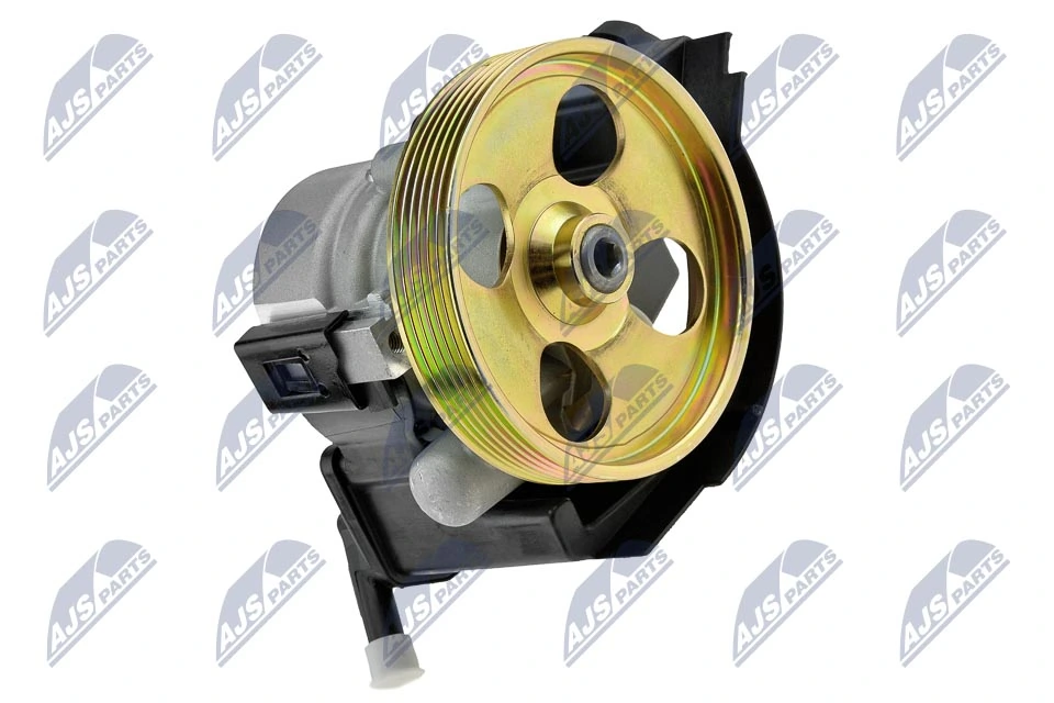 Hydraulic Pump, steering SPW-CT-029