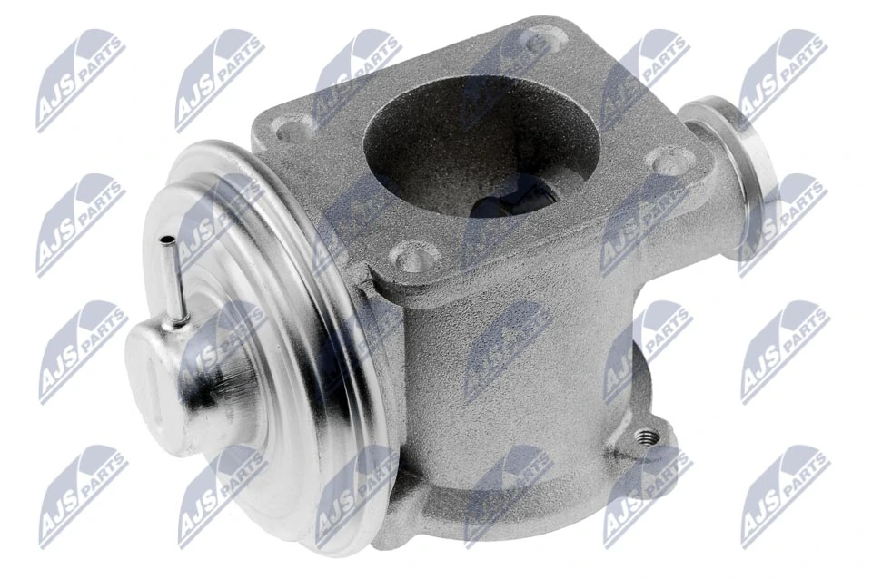 EGR Valve EGR-BM-003