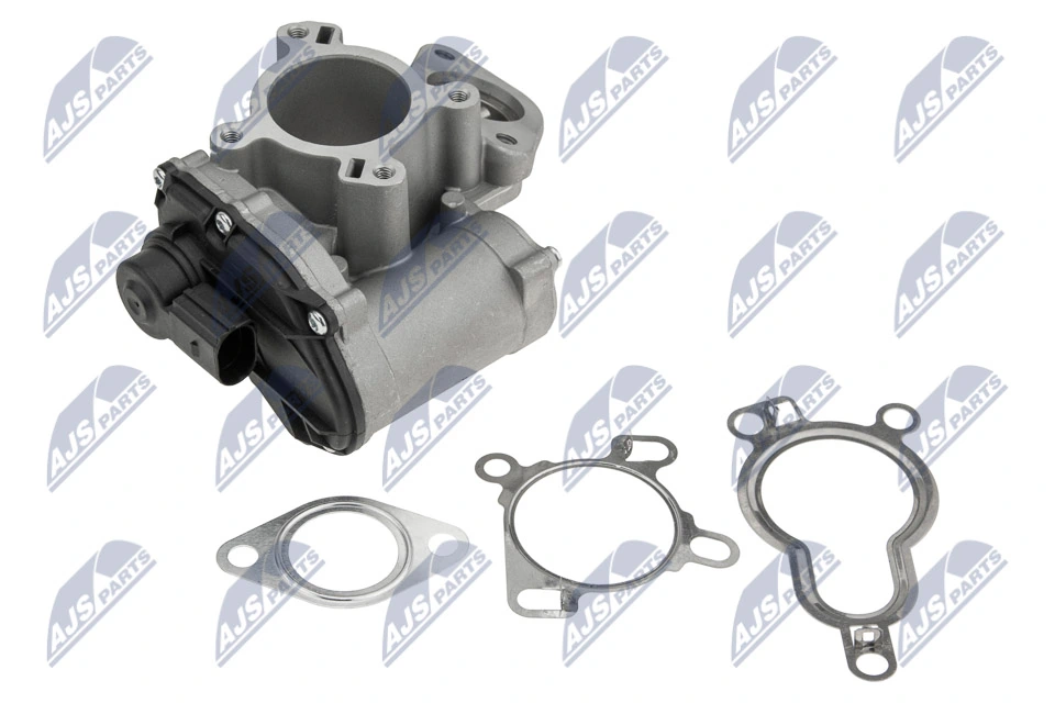 EGR Valve EGR-RE-020