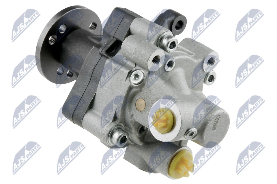 NTY SPW-BM-001 Hydraulic Pump, steering