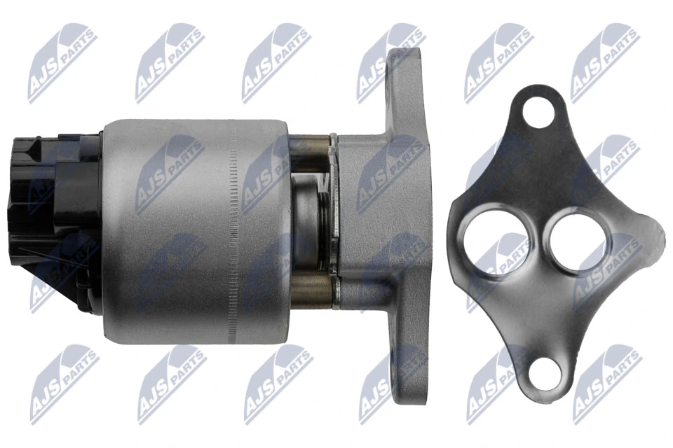 EGR Valve EGR-DW-008