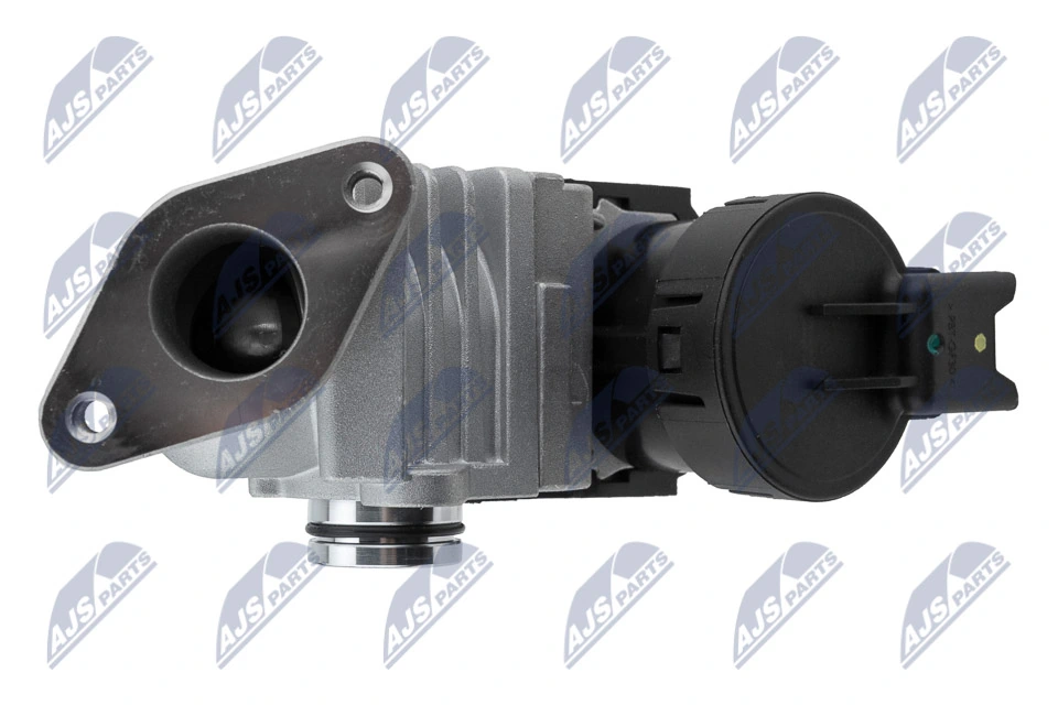 EGR Valve EGR-BM-017