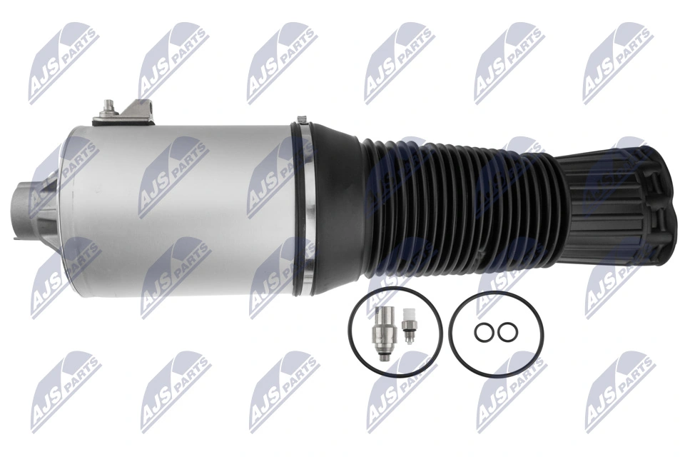 Air Suspension Strut EZC-AU-248