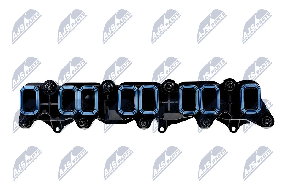 Intake Manifold Module BKS-FR-003