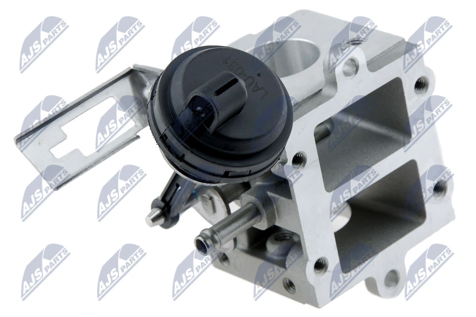 EGR Valve EGR-AU-031