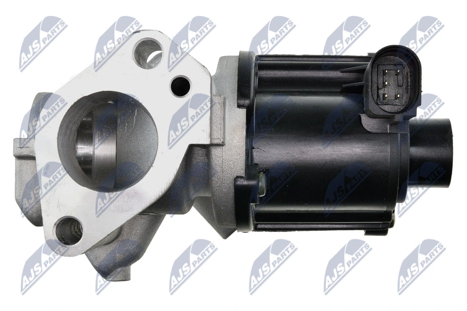 EGR Valve EGR-AU-018