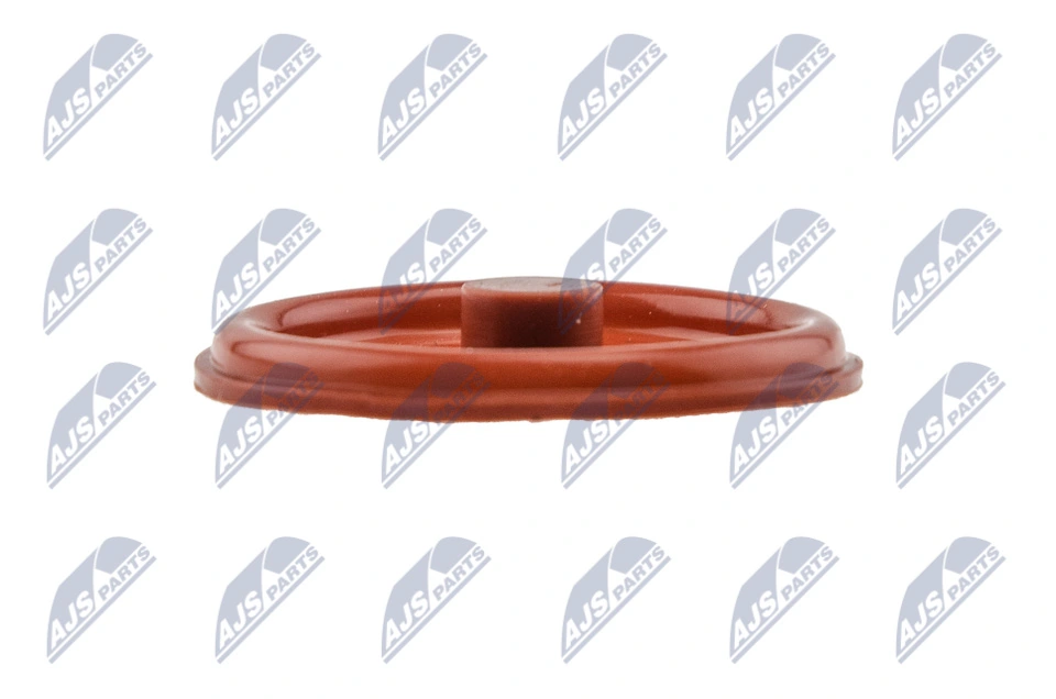 Cylinder Head Cover BPZ-PL-005