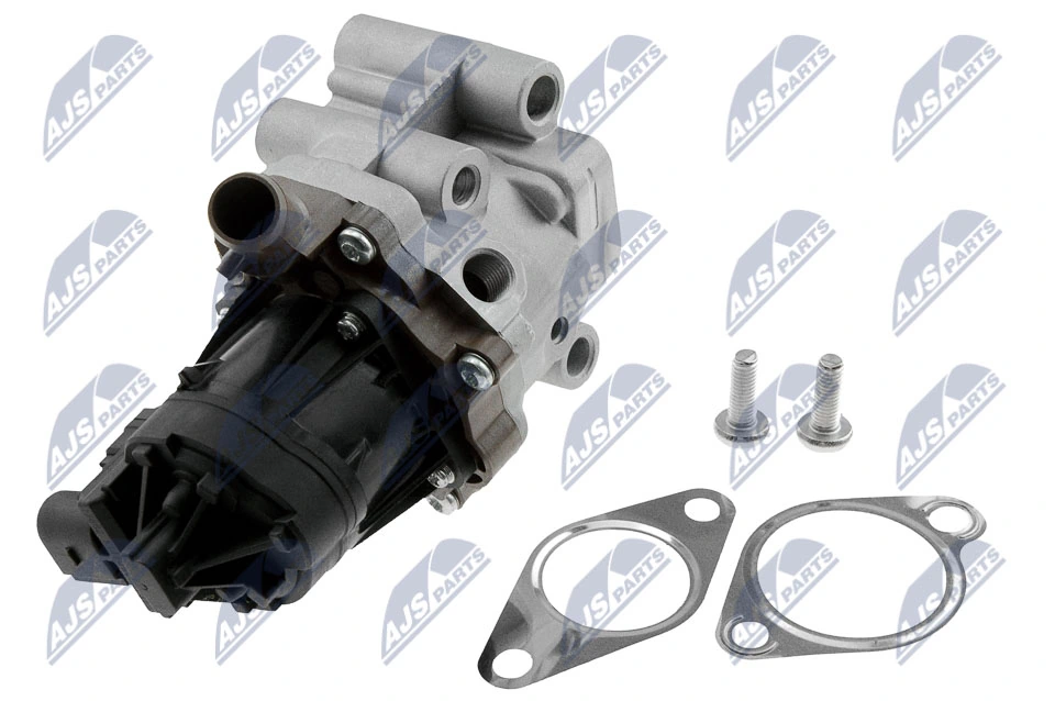 EGR Valve EGR-FT-010