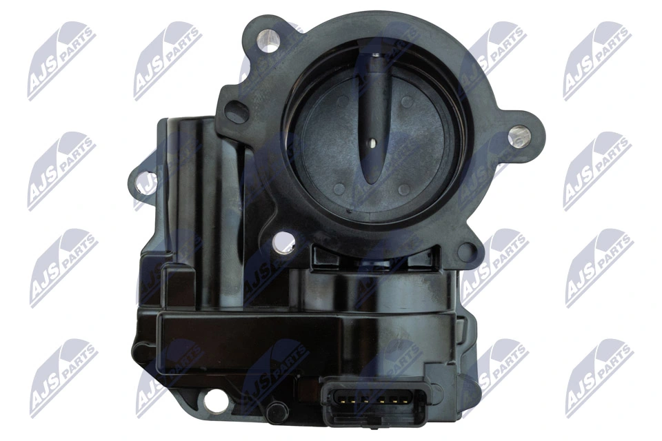 Throttle Body ETB-BM-005