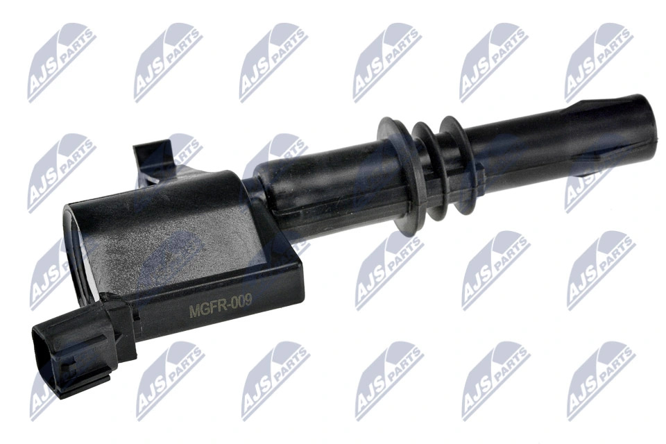 Ignition Coil ECZ-FR-009