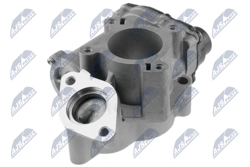 EGR Valve EGR-RE-003