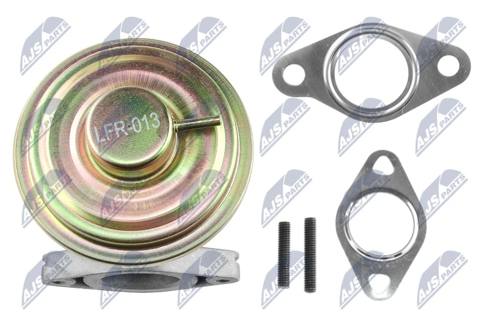 EGR Valve EGR-FR-013