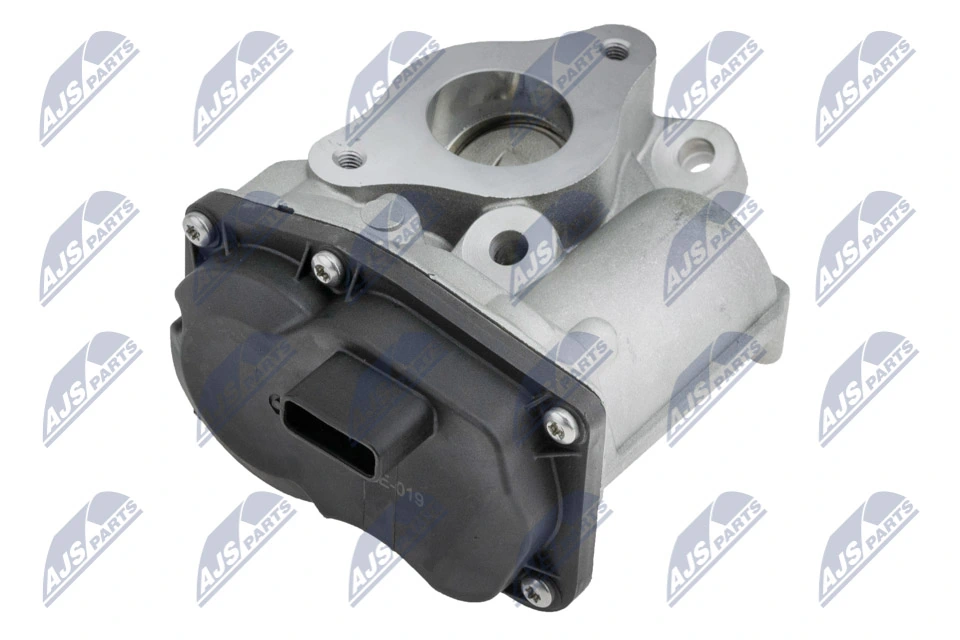 EGR Valve EGR-RE-019