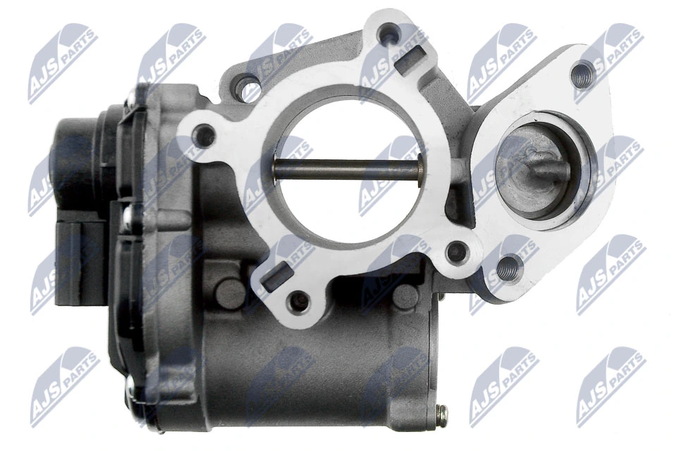 EGR Valve EGR-RE-003