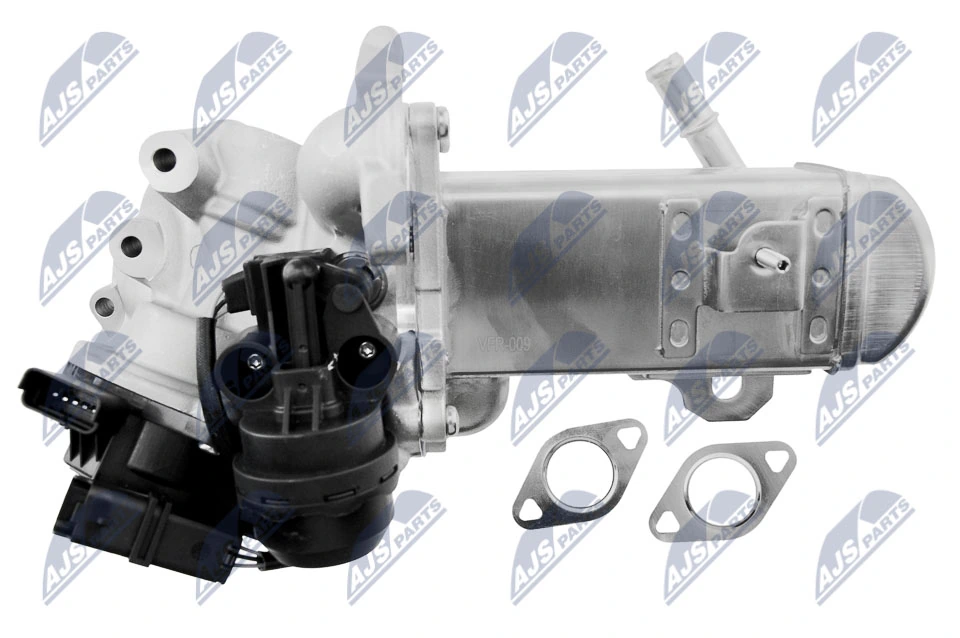 AGR 밸브 EGR-FR-009
