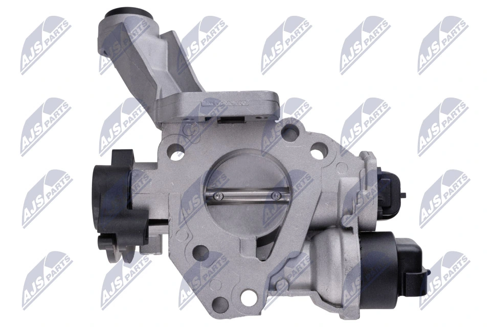 Throttle Body ETB-RE-010