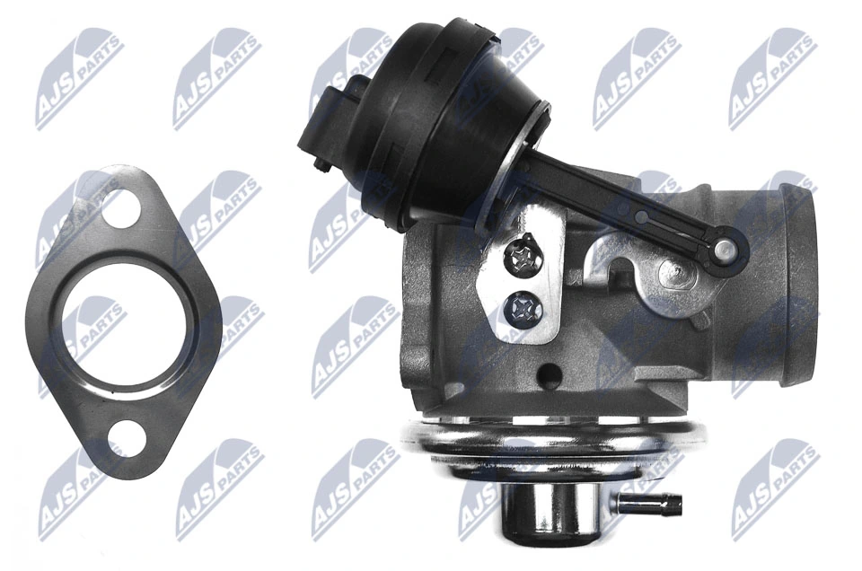 EGR Valve EGR-AU-000