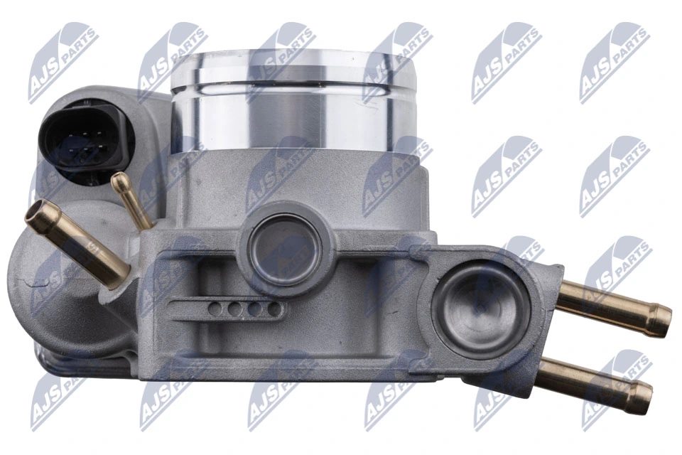 Throttle Body ETB-AU-010