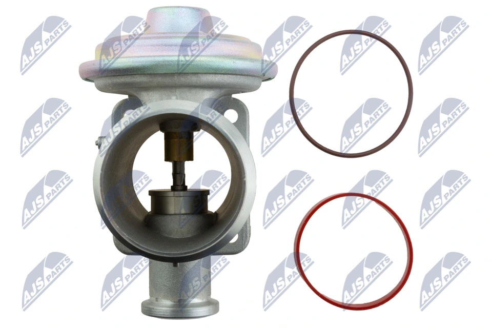 NTY EGR-BM-007 EGR Valve