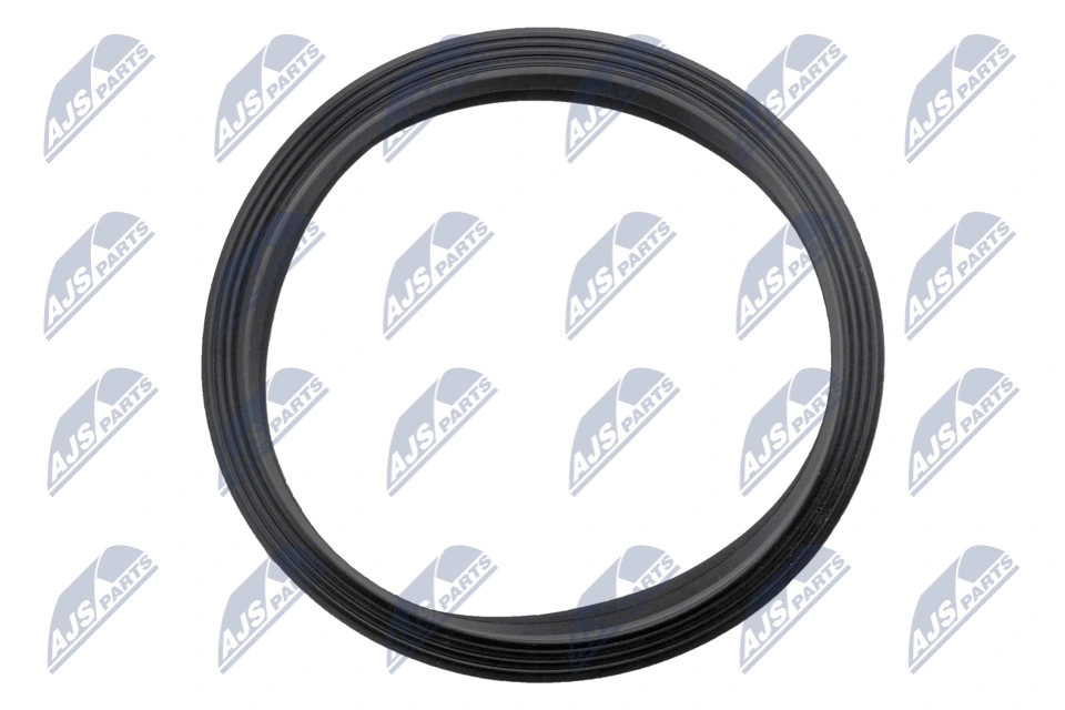 Gasket, fuel pump BPP-VW-005