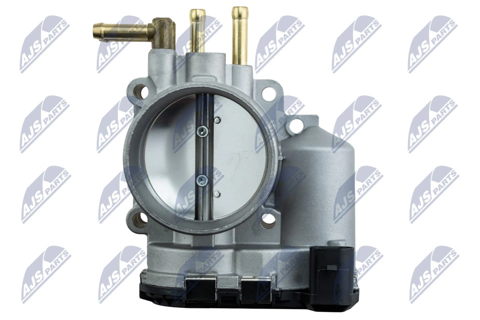 Throttle Body ETB-AU-007
