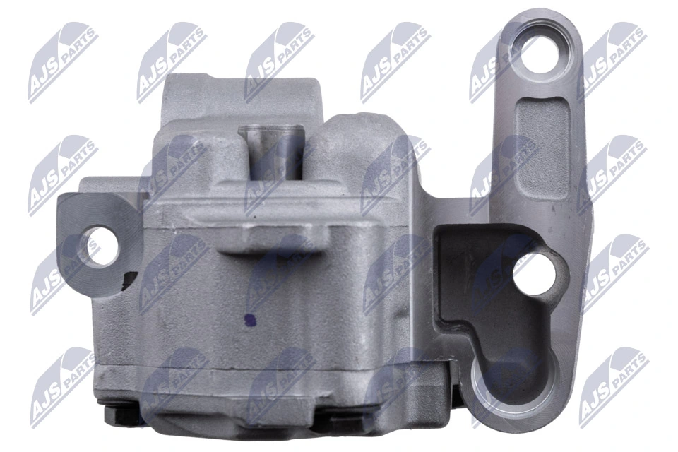 Oil Pump BPO-VW-030