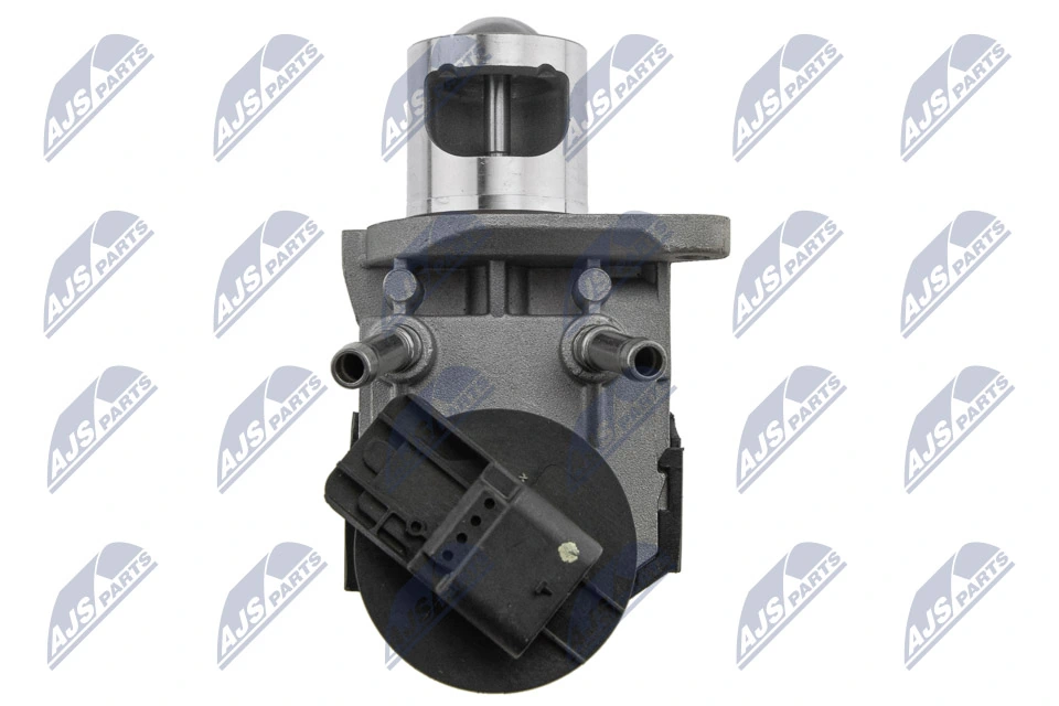 EGR Valve EGR-BM-009