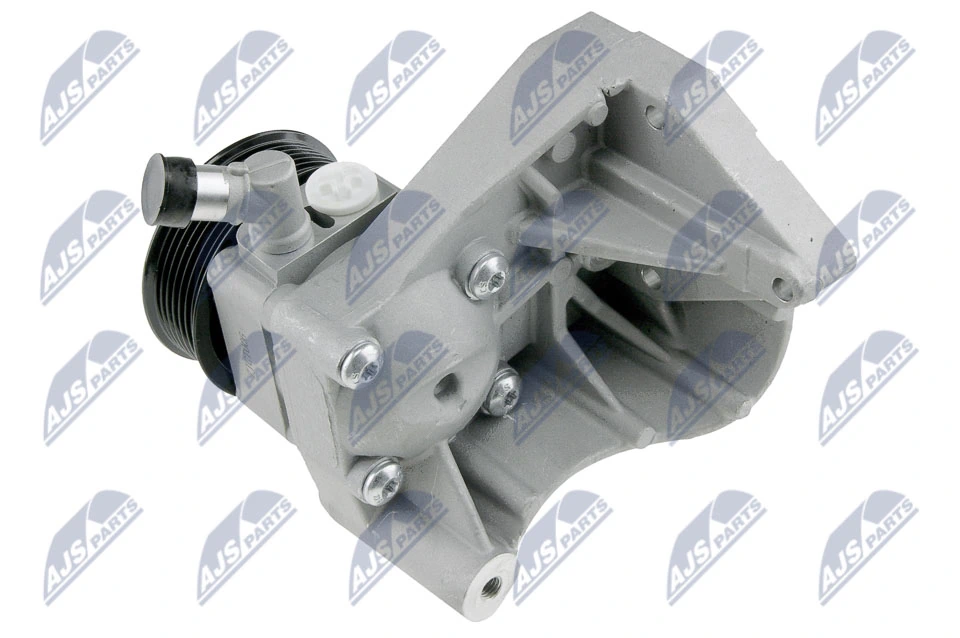Hydraulic Pump, steering SPW-CT-006