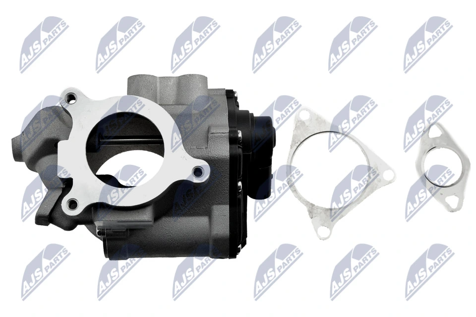 EGR Valve EGR-PL-014
