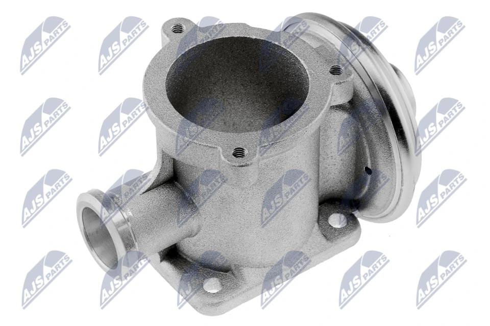 EGR Valve EGR-BM-003