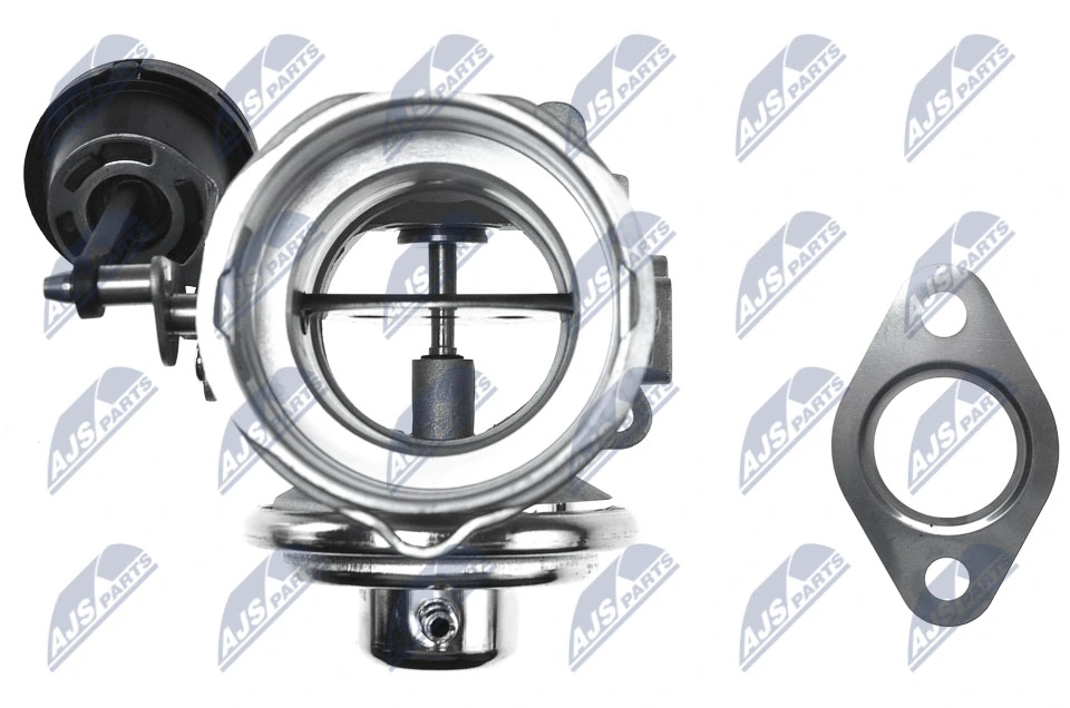 EGR Valve EGR-AU-001