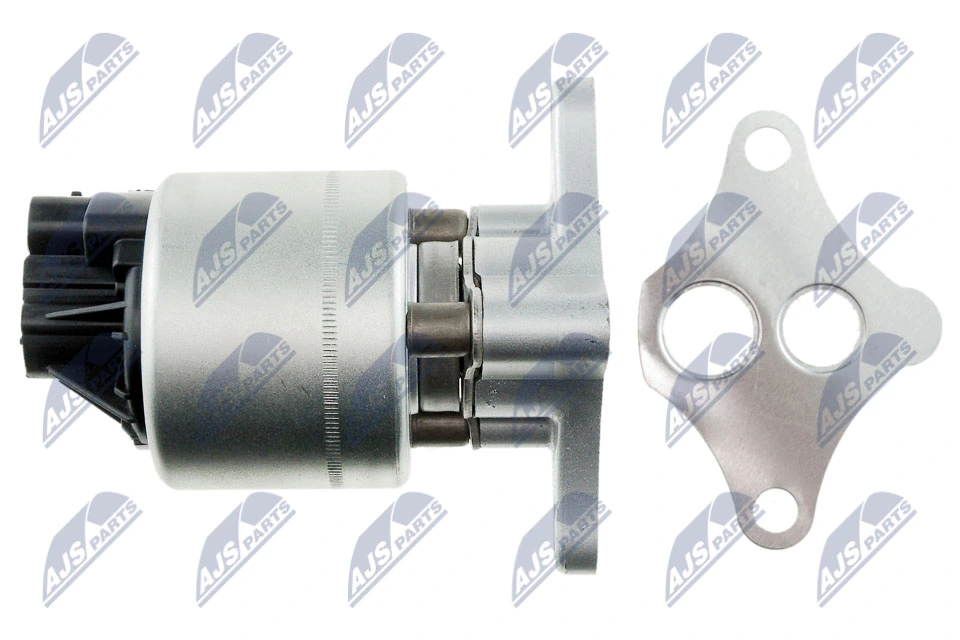EGR Valve EGR-PL-005