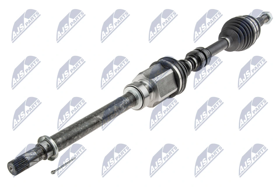 Aci Pacuan NPW-NS-074