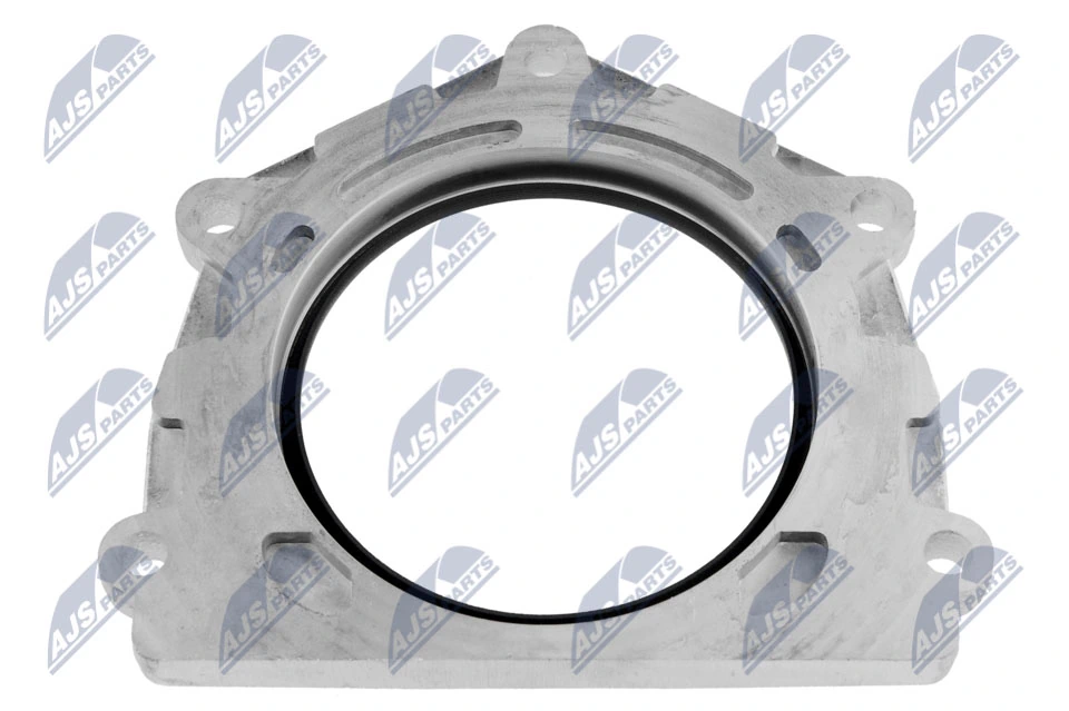 Shaft Seal, crankshaft NUP-LR-000