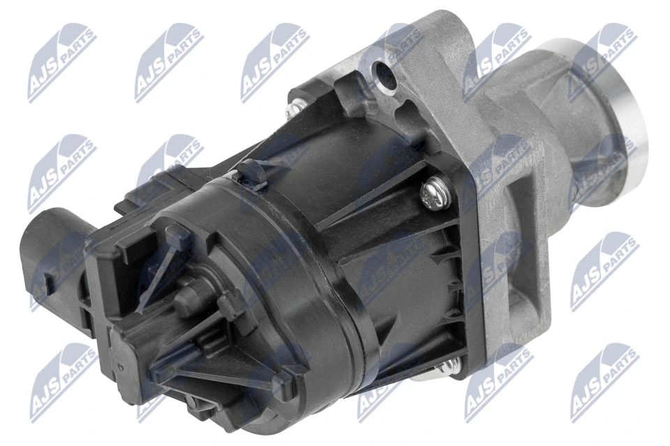 EGR Valve EGR-PL-020