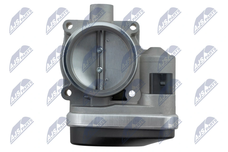 Throttle Body ETB-BM-008