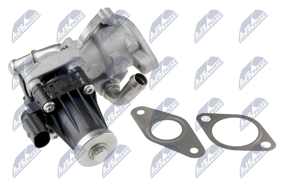 EGR Valve EGR-FR-029