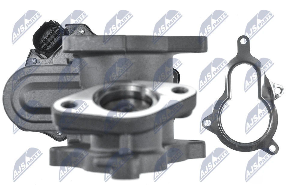 EGR Valve EGR-AU-005