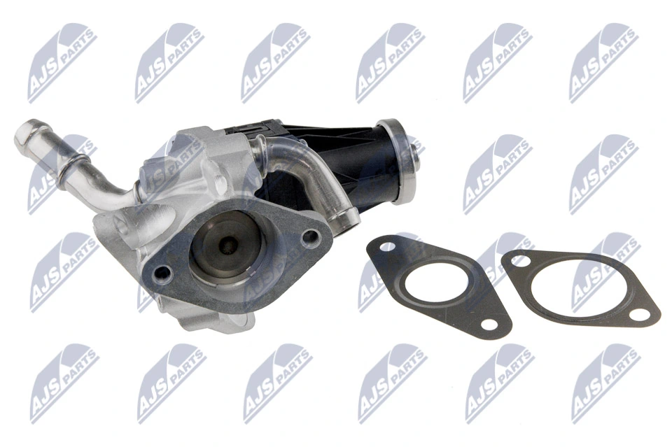 EGR Valve EGR-FR-029