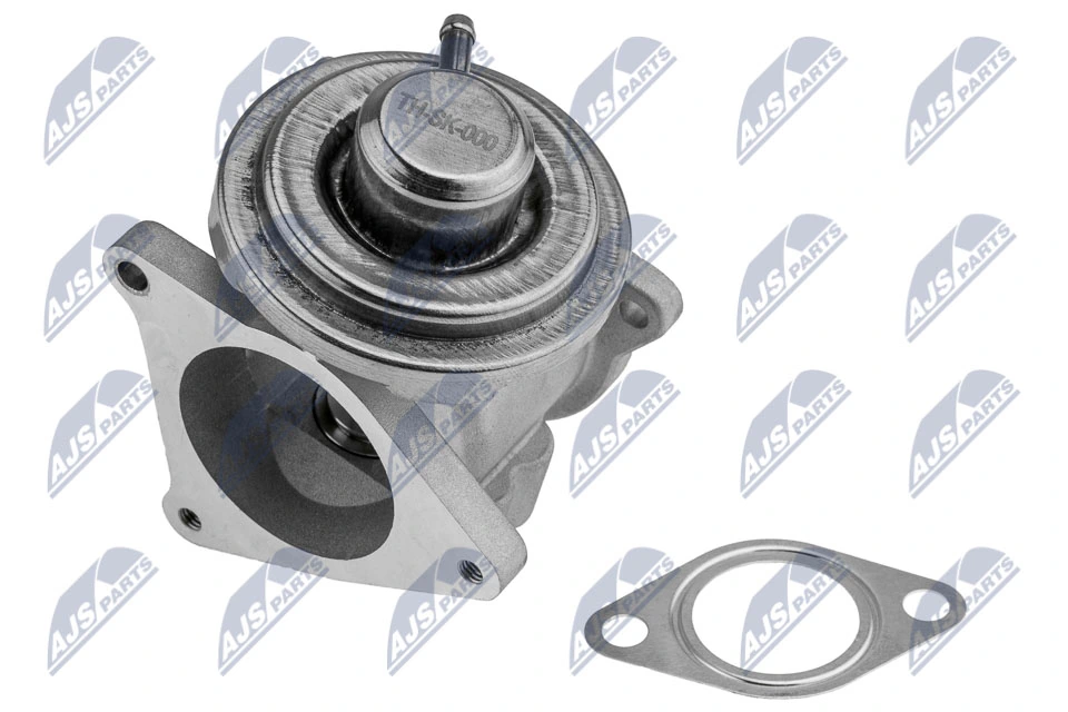 EGR Valve EGR-SK-000