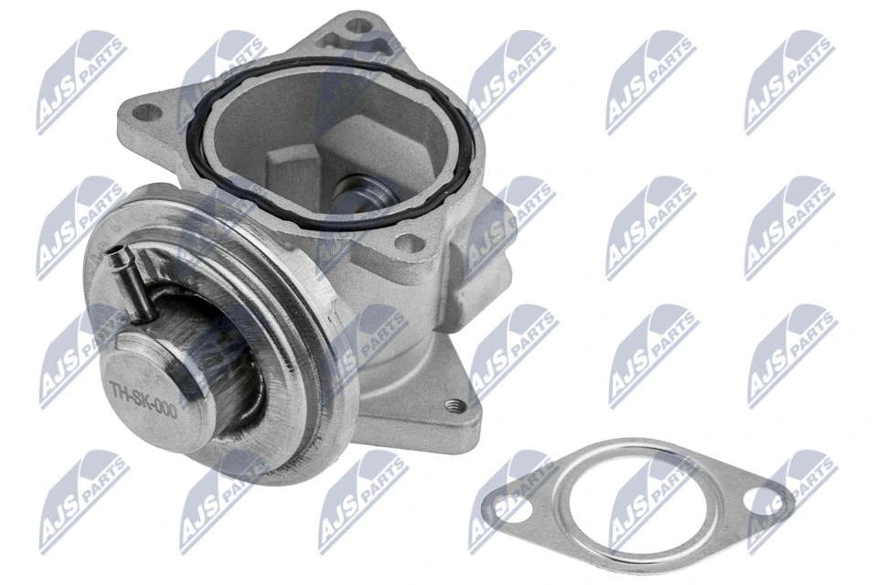 EGR Valve EGR-SK-000