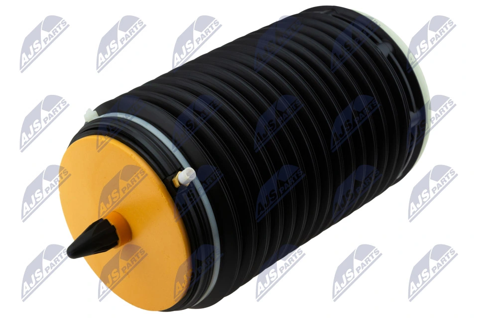 Air Suspension Strut EZC-AU-187